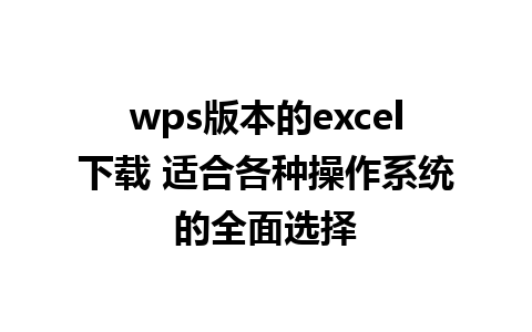 wps版本的excel下载 适合各种操作系统的全面选择