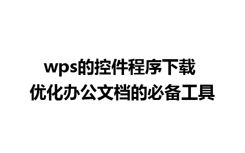 wps的控件程序下载 优化办公文档的必备工具