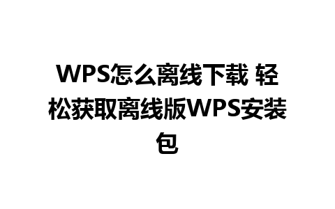 WPS怎么离线下载 轻松获取离线版WPS安装包