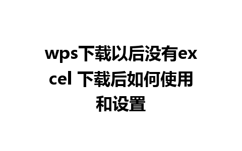 wps下载以后没有excel 下载后如何使用和设置