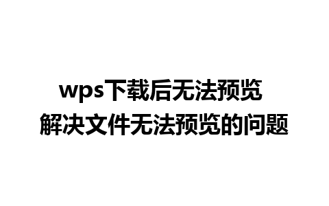 wps下载后无法预览 解决文件无法预览的问题