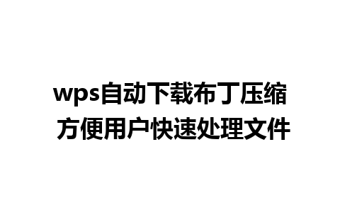 wps自动下载布丁压缩 方便用户快速处理文件