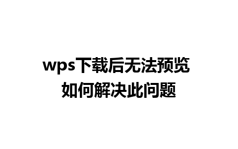 wps下载后无法预览 如何解决此问题