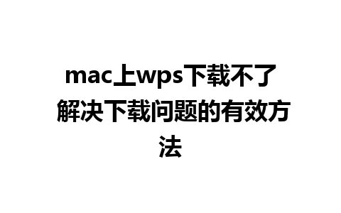 mac上wps下载不了 解决下载问题的有效方法