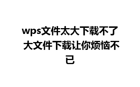 wps文件太大下载不了 大文件下载让你烦恼不已